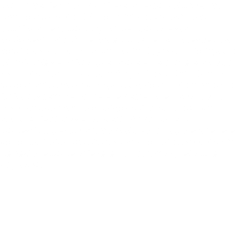 Sicuramente ha un carattere diverso dal cane, ma questo è un dato di fatto, il felino benché trovi accattivante la compagnia dell'uomo e sia addomesticato da secoli è come se non avesse mai voluto rinunciare a quella parte di geni che lo legano all'animale selvatico, predatore e fiero che era il suo antenato. Come un leone è il padrone della foresta, lui lo è della sua casa: ogni angolo è stato esplorato, tutti i cassetti, le borse e le ceste diventano la sua tana. Le loro fusa ci sciolgono il cuore come se finalmente si fossero arresi alla convivenza domestica, per un attimo ci illudono di poterli tenere sotto controllo, ma alla fine hanno solo imparato alla perfezione come ottenere da noi tutto quello che vogliono. 